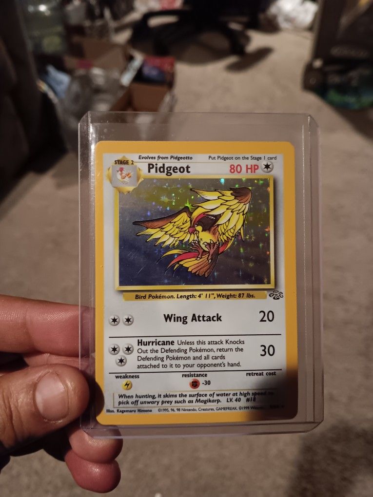Pokemon Card Jungle addition Pidgeot