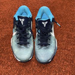 Kobe Shark 7s 