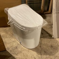 Bidet Toilet