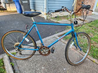 Free 10 Speed Bike