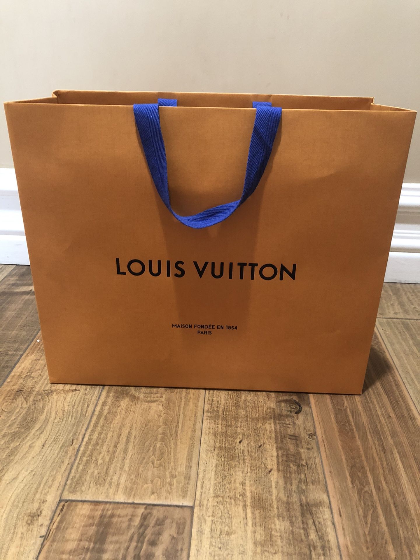 Louis Vuitton Bag