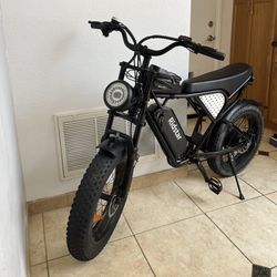 Ridstar Q20 Electric Bike 🔺