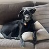 Christopher Jensen