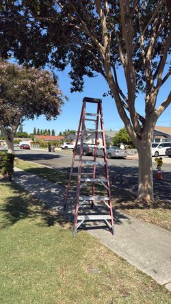 Ladder