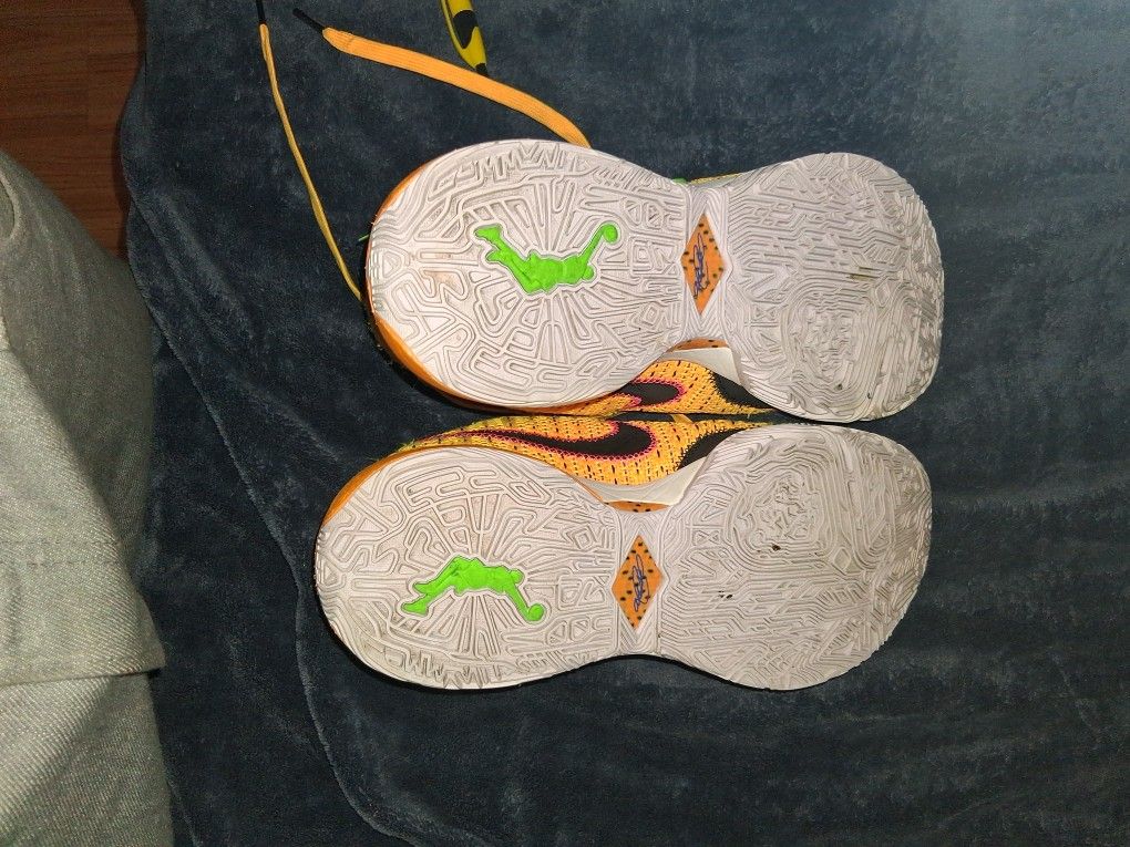 LeBron/Nike Basketball Shoes 