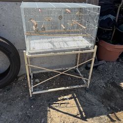 Bird cage