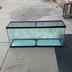 55 Gallon Aquarium For Sale 120 OBO 