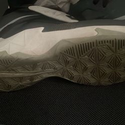 LeBron James Nike Sneakers 