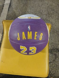 Spalding NBA LeBron James Los Angeles Lakers Basketball