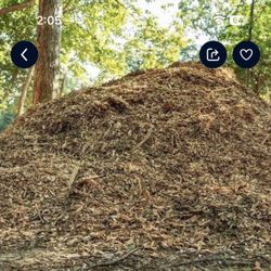 Need Wood Chips