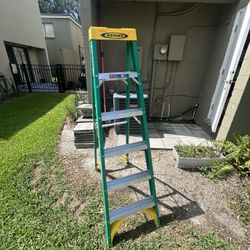6 Ft Ladder