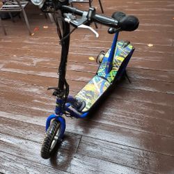 Electric Scooter 