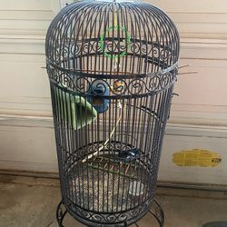 Nice Bird Cage