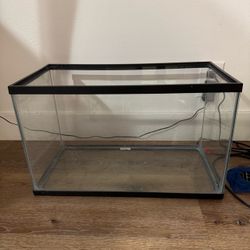 10 gallon tank
