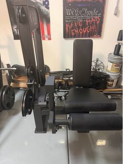 Leg extension and leg curl