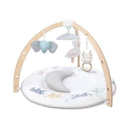 Aden + Anais Play Gym