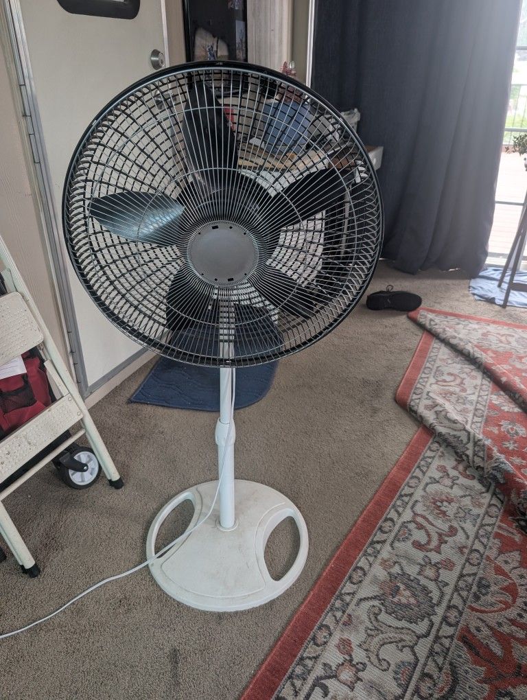 3 Speed Oscillating Standing Fan