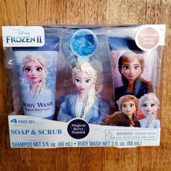 Frozen Soap & Scrub Set