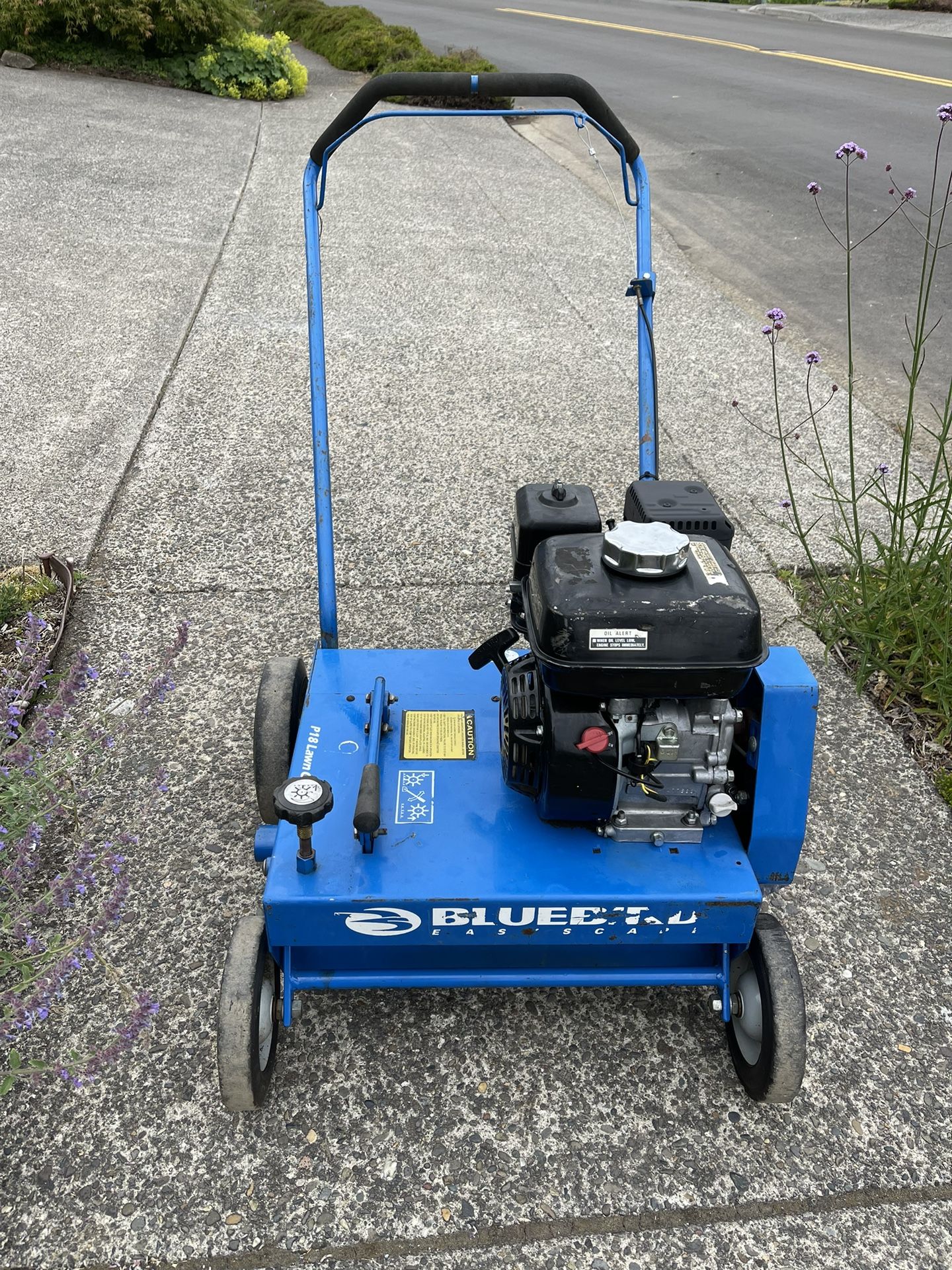 Clean Great Running Bluebird Commercial P18 Thatcher Power Rake Comber
