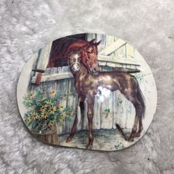 Sand Dollar Pleasantries Horse And Colt 