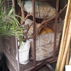 Large Bird Gage