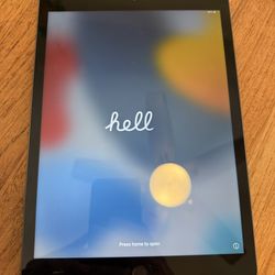 Apple iPadOS 16.3-1 Model A2270 For Sale