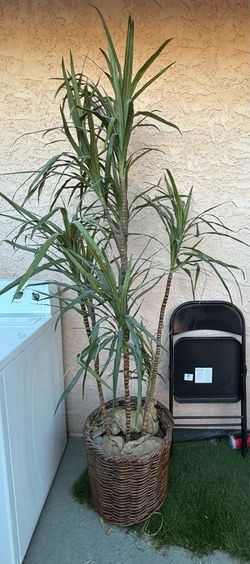6 foot artificial plant