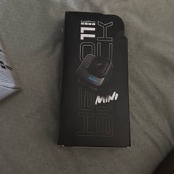 Go Pro 11 Hero Black Mini 