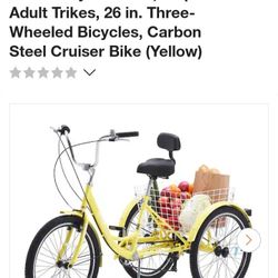 Adult Bike