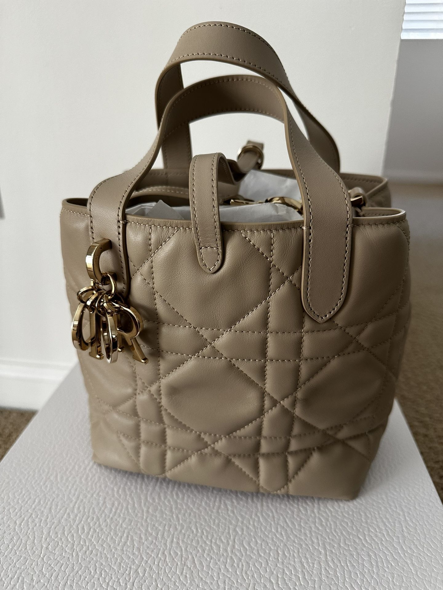 Dior bag small Toujours Vertical Tote 