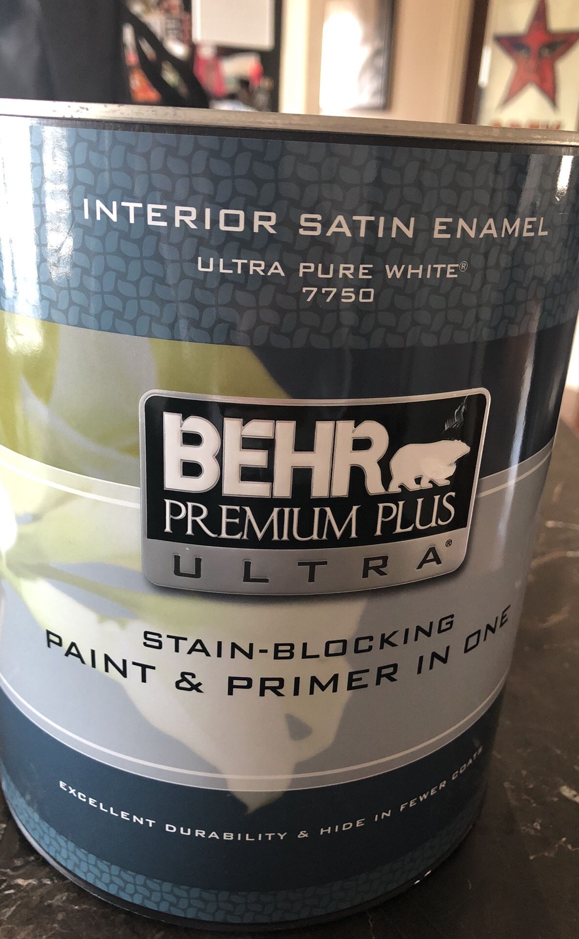 Chic Gray Behr Ultra Satin paint