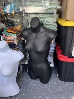 Upper Body Maniquins With No Backs