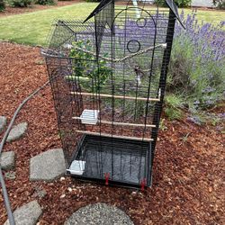Bird Cage