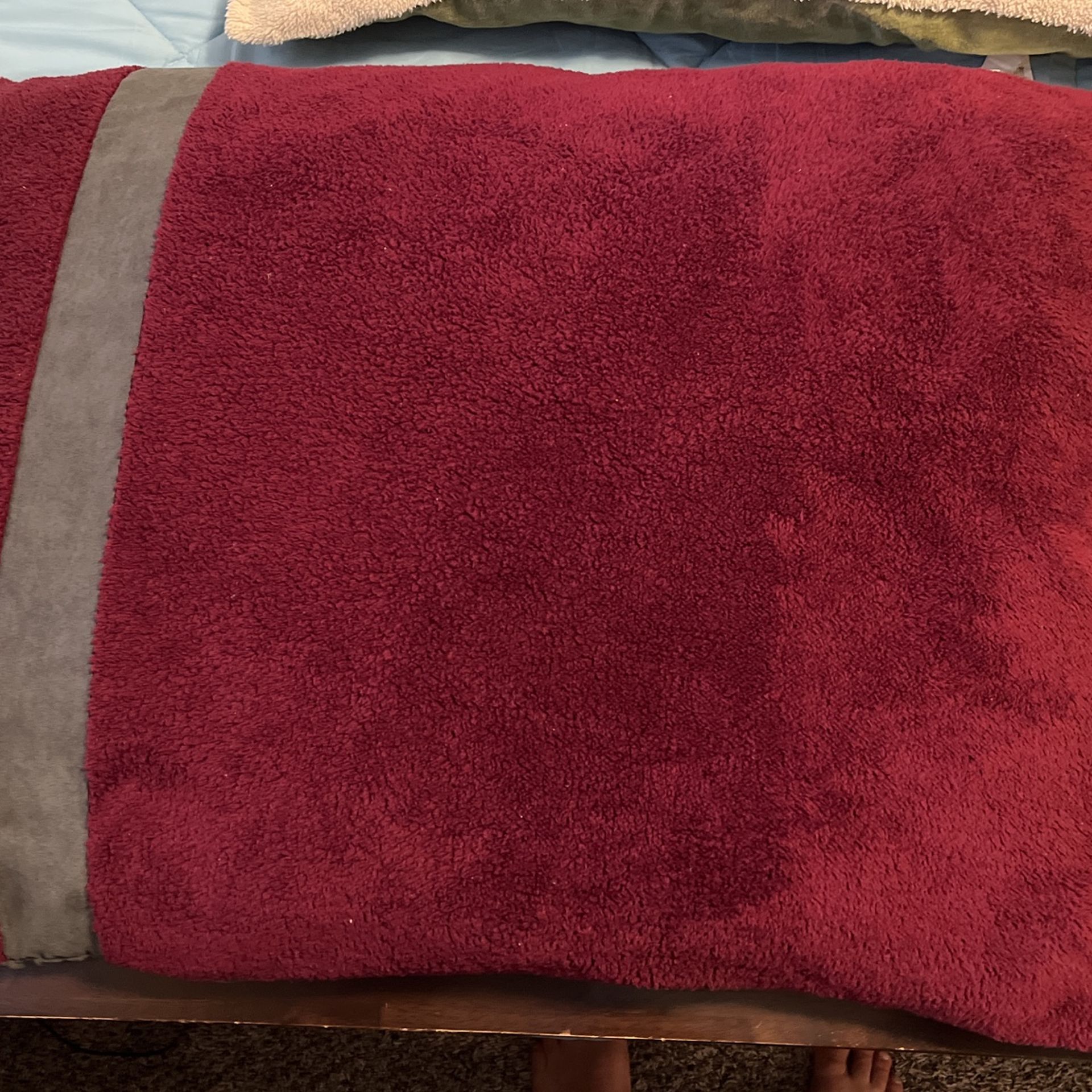 Pet Bedding