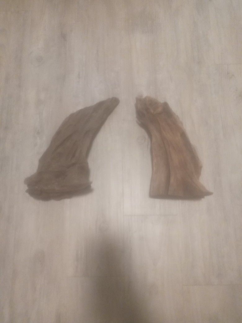 Aquarium Wood