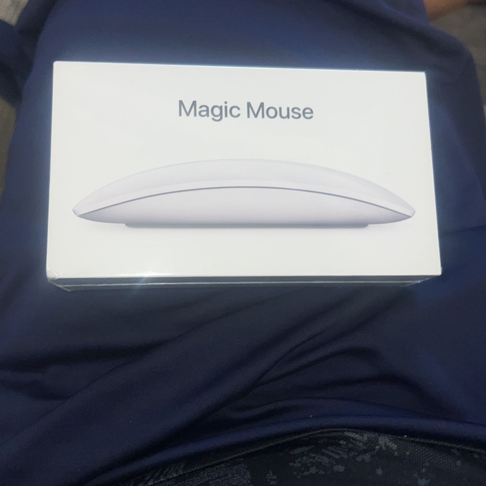 Magic Mouse 