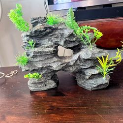 Aquarium Decor