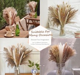 100% Authentic Pampas