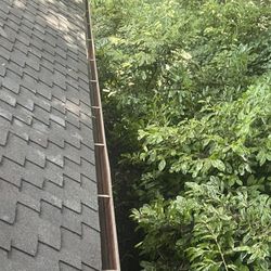 Gutter Cleaning And Moss Treatment 