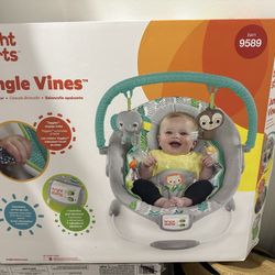 Baby Bouncer