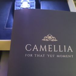 Engagement/wedding Set