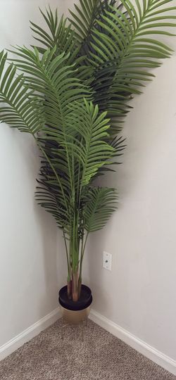 60