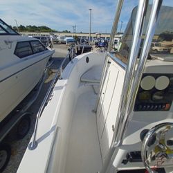 Seaswirl    Stripper  26