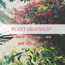 Rare Plants, Exclusive Finds! Come Visit Us! 