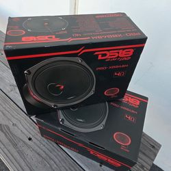 Ds18 6x9 Pair New $140