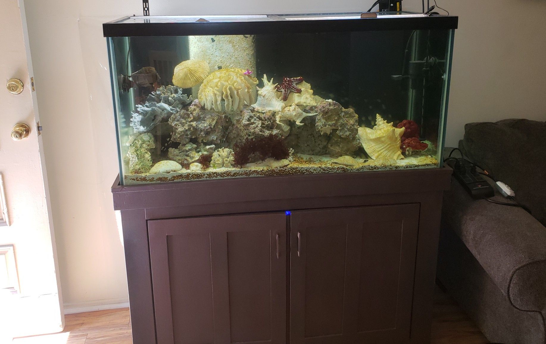 110 g aquarium with stand filter and stuff