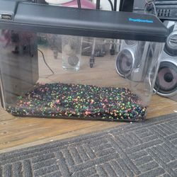 Starter Fish Tank