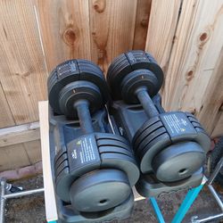 FLYBIRD DB2 quick adjustable dumbbells 55lb each