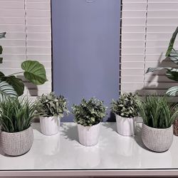 7 Assorted Artificial Plants 