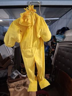 Kids woodstock Halloween costume